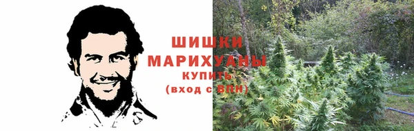 прущая мука Вяземский
