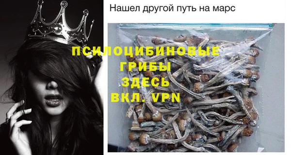 ГАЛЛЮЦИНОГЕННЫЕ ГРИБЫ Осинники