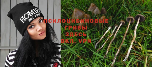 прущая мука Вяземский