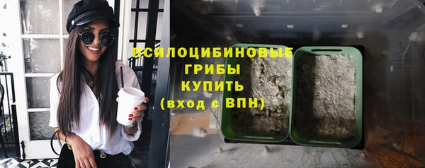прущая мука Вяземский